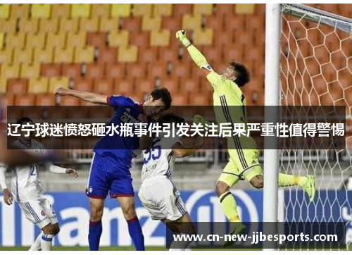 辽宁球迷愤怒砸水瓶事件引发关注后果严重性值得警惕