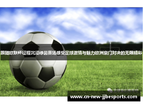 跟随欧联杯征程沉浸绿茵赛场感受足球激情与魅力欧洲豪门对决的无限精彩